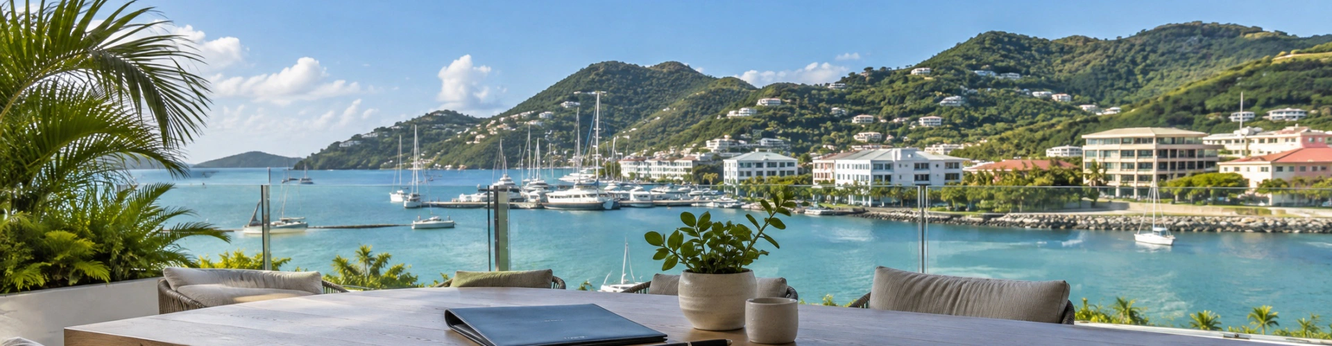英属维尔京群岛（BVI）城市商务景观与公司注册文件概念图