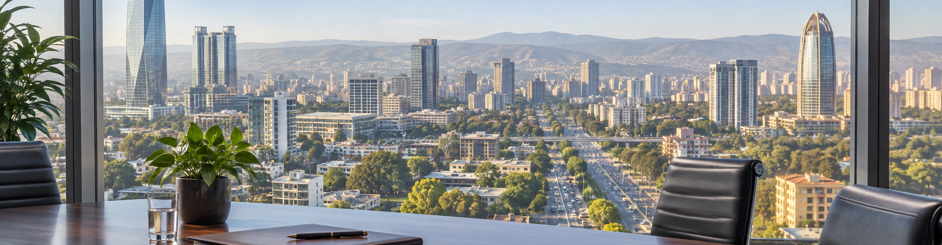 埃塞俄比亚城市商务景观与公司注册文件概念图